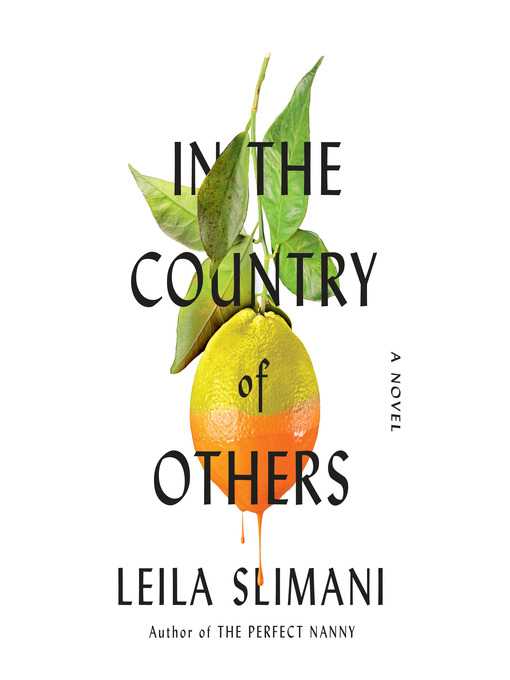 Title details for In the Country of Others by Leila Slimani - Wait list